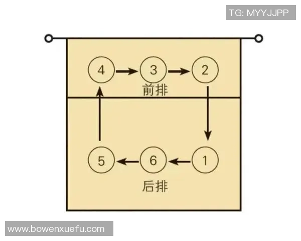 南京排球队的比赛经验揭秘：从训练到赛场的全方位解析