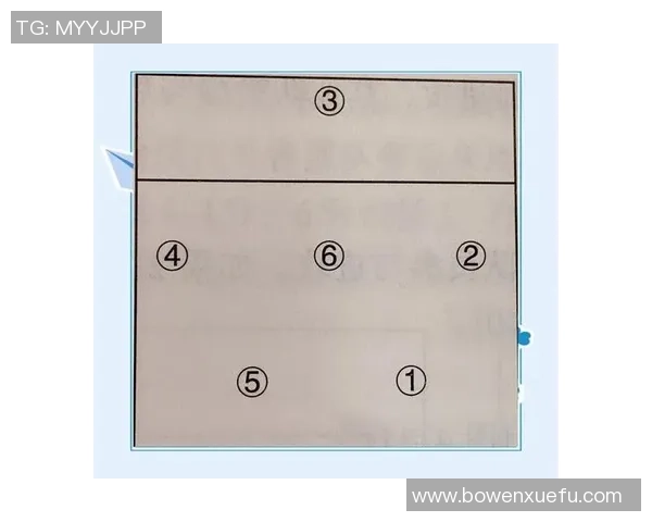 重庆排球队战术表现深度分析与数据解读探讨