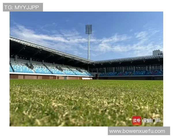 深圳足球队战术揭秘：从战术布局到球员配合的全景分析