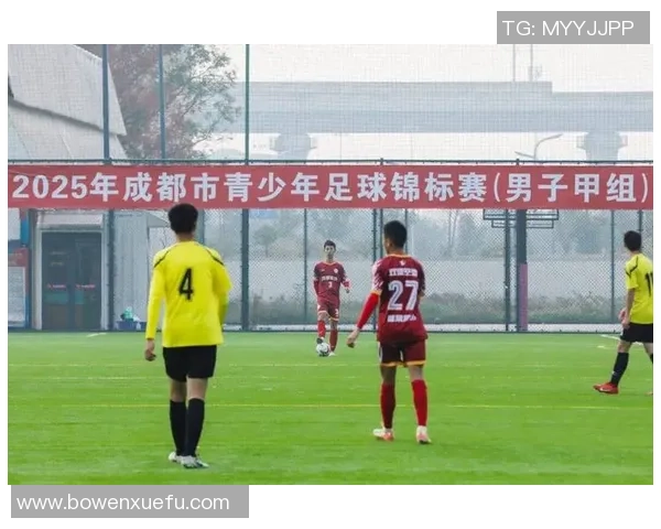 成都足球队在世界锦标赛中的耐力表现分析与点评