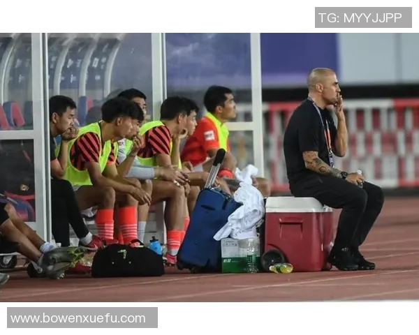 杭州排球队技术争议引发热议球迷与专家各抒己见探讨战术与规则