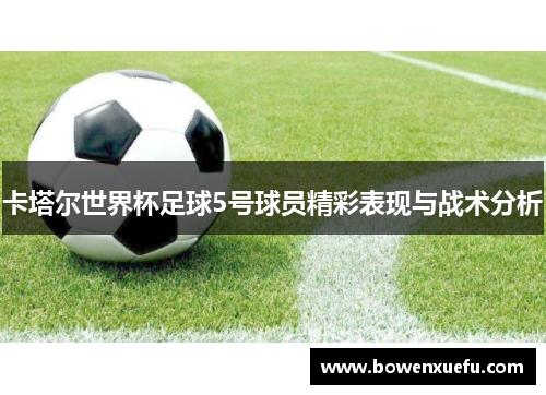 卡塔尔世界杯足球5号球员精彩表现与战术分析