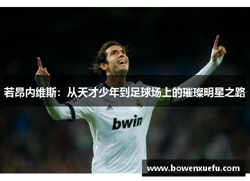 若昂内维斯：从天才少年到足球场上的璀璨明星之路